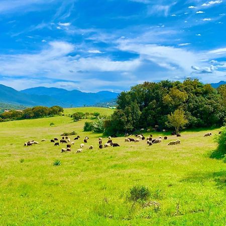 L'Aravone Lodge Сартен Экстерьер фото