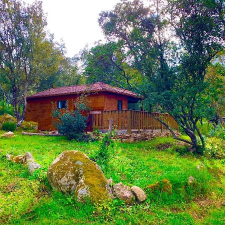 L'Aravone Lodge Сартен Экстерьер фото
