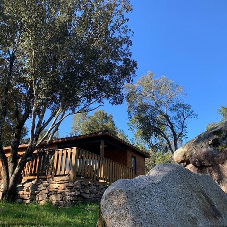 L'Aravone Lodge Сартен Экстерьер фото