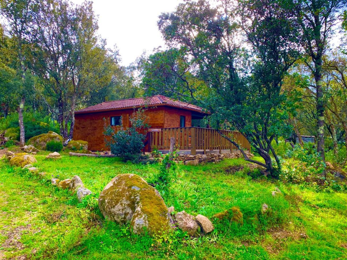L'Aravone Lodge Сартен Экстерьер фото