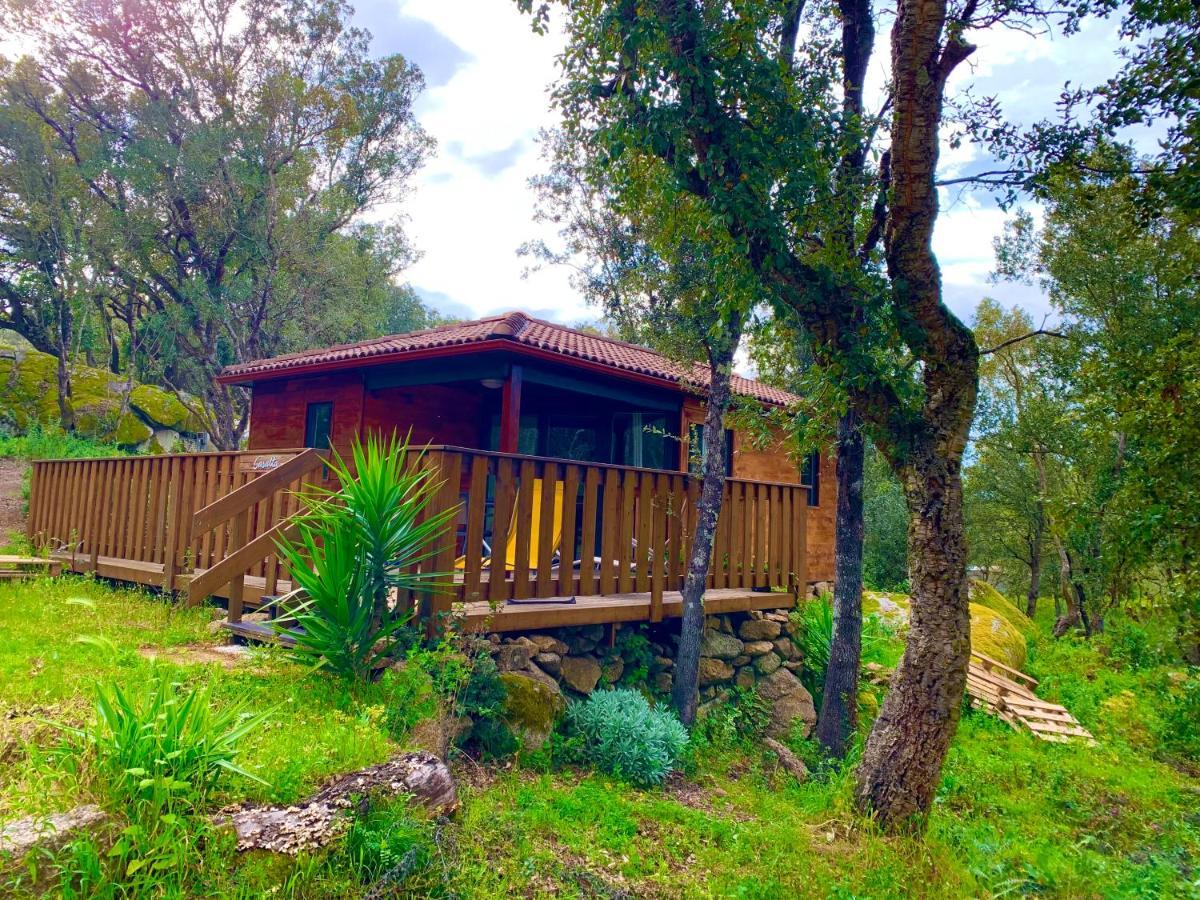L'Aravone Lodge Сартен Экстерьер фото